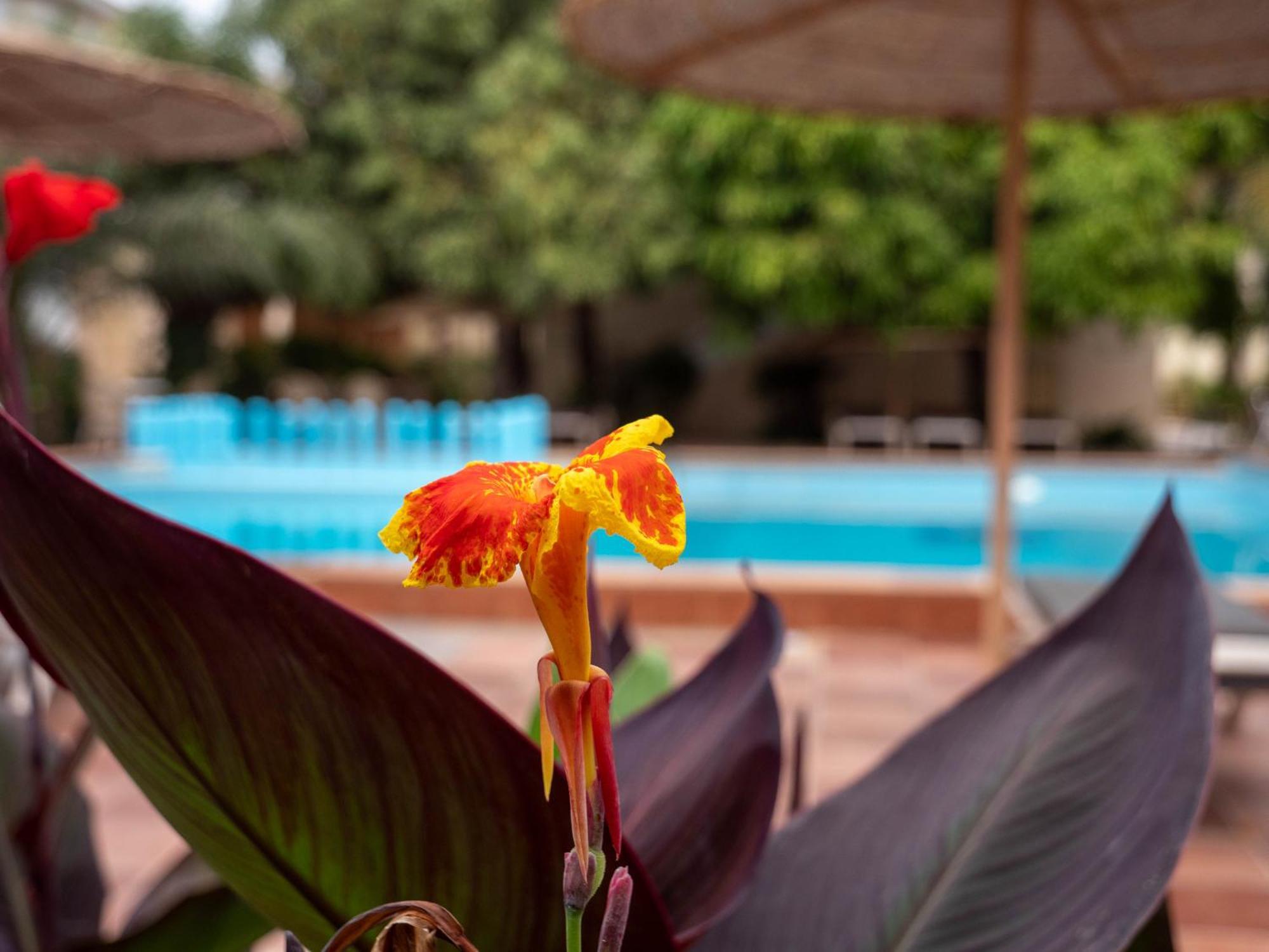 Cape Point Hotel Bakau Ngoại thất bức ảnh